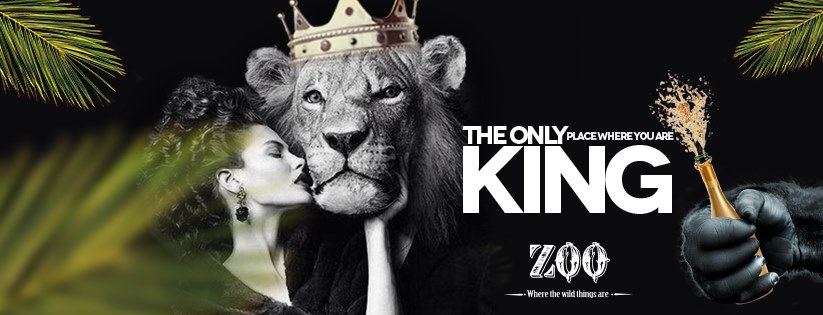 large long lion image