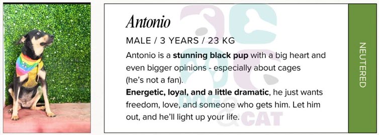 Antonio